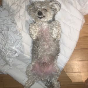 Meet your Posher, Storm